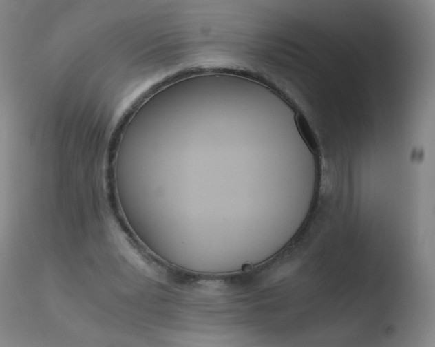 X0000110670391200906121107