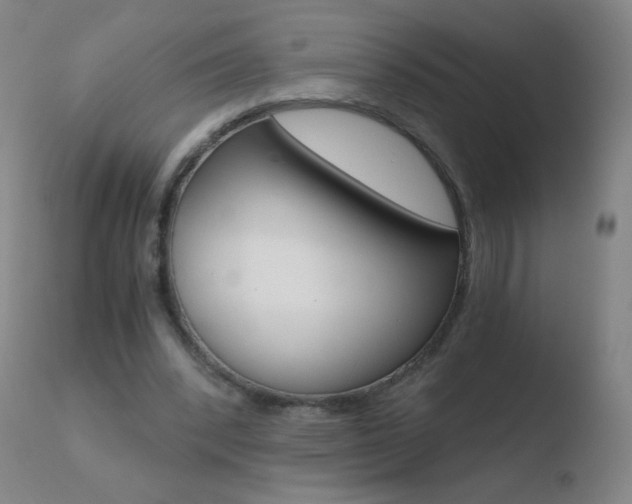 X0000110670392200906121107
