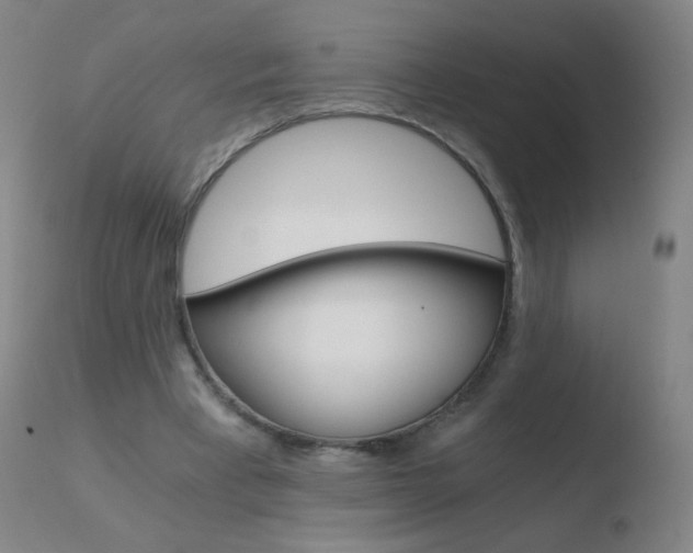 X0000110670393200906121107