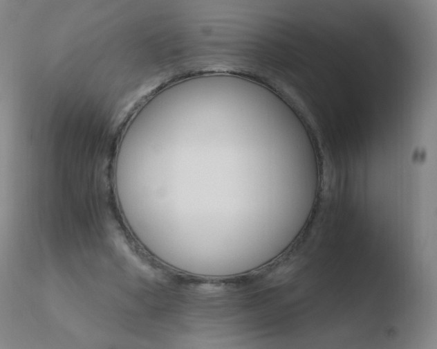 X0000110670394200906121107