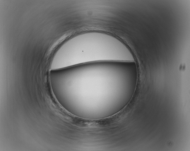 X0000110670395200906121107