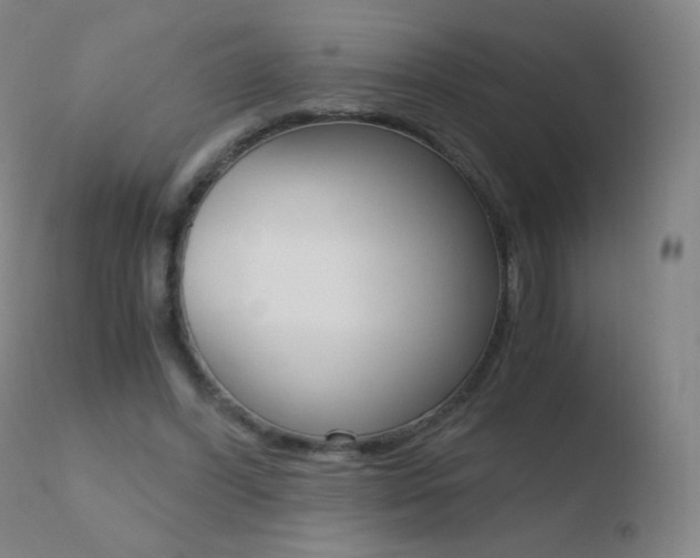X0000110670396200906121107