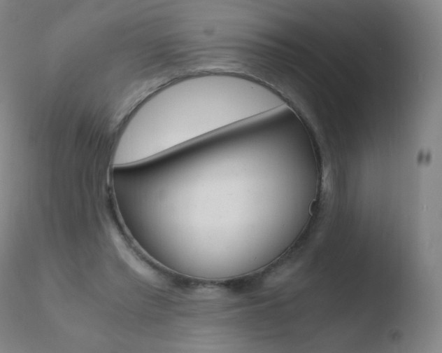 X0000110670397200906121107