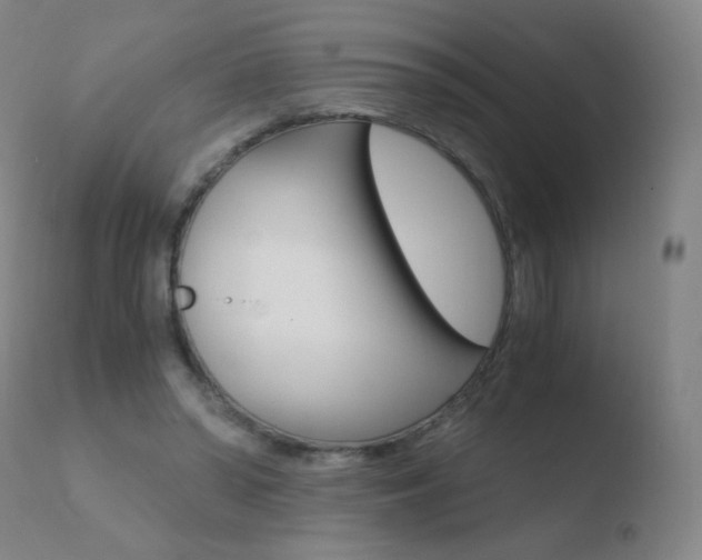 X0000110670398200906121107