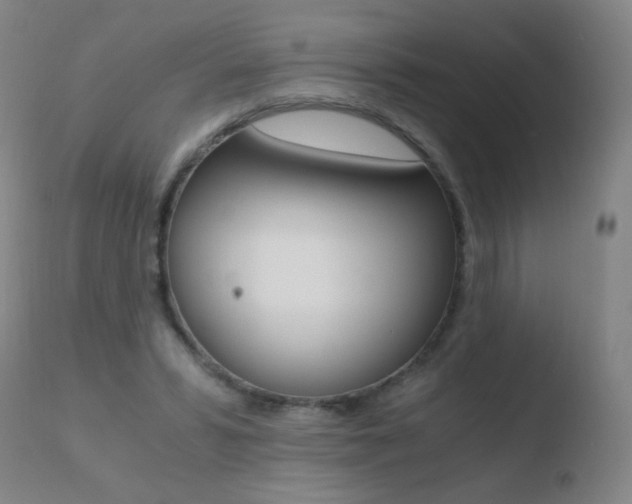X0000110670399200906121107