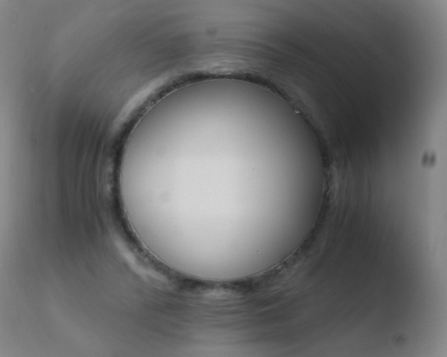 X0000110670400200906121107