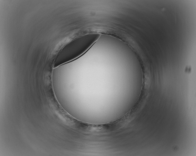 X0000110670401200906121107