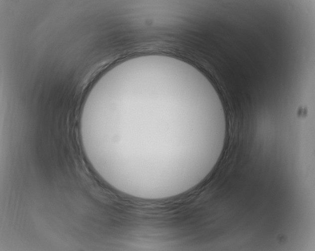 X0000110670403200906121107