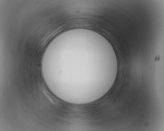 X0000110670405200906121107