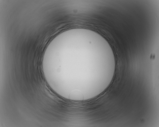 X0000110670409200906121107