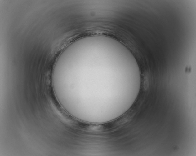 X0000110670410200906121107