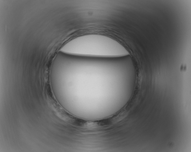 X0000110670413200906121107