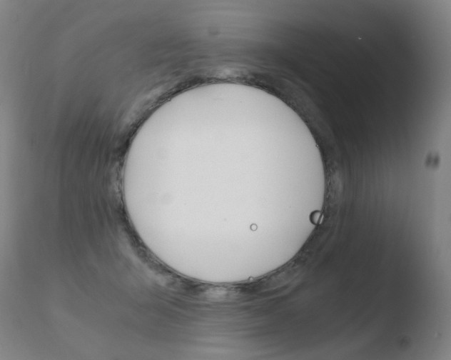 X0000110670415200906121107