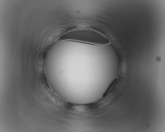 X0000110670417200906121106