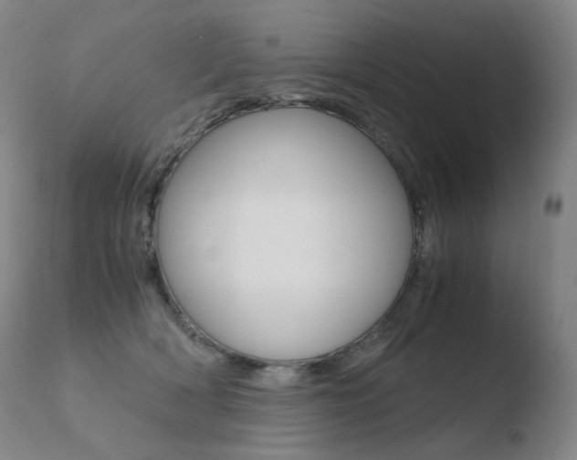 X0000110670418200906121106