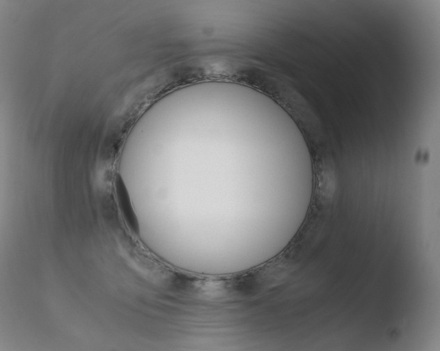 X0000110670419200906121106