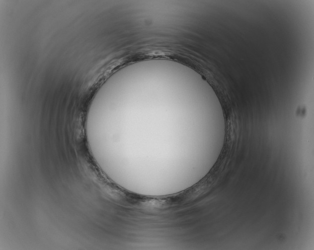X0000110670422200906121106