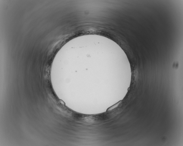 X0000110670423200906121106