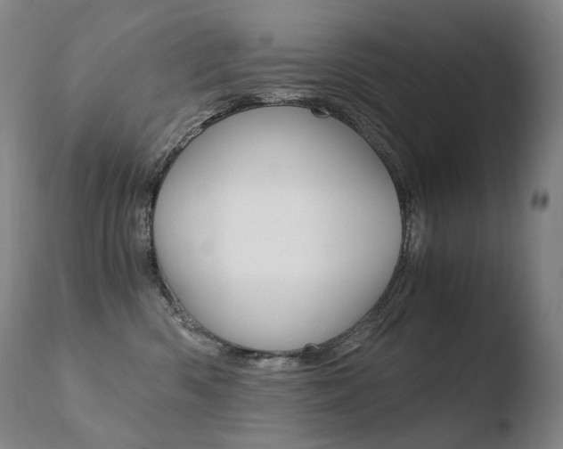 X0000110670426200906121106