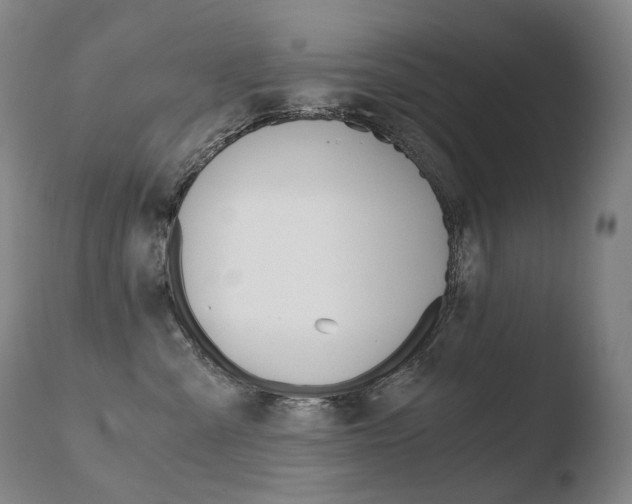 X0000110670427200906121106