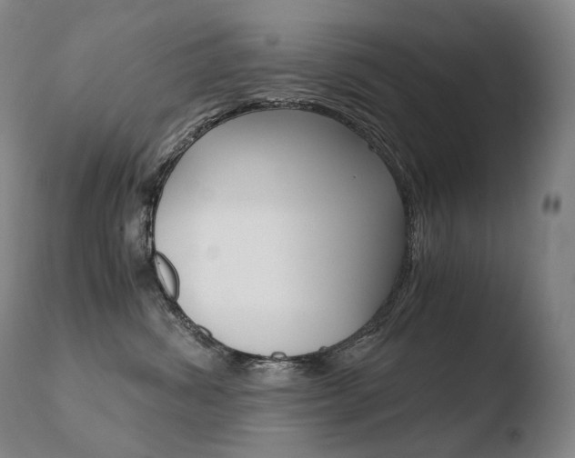 X0000110670428200906121106