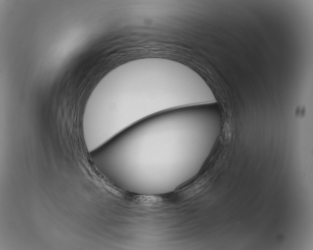 X0000110670429200906121106