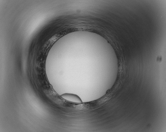 X0000110670430200906121106
