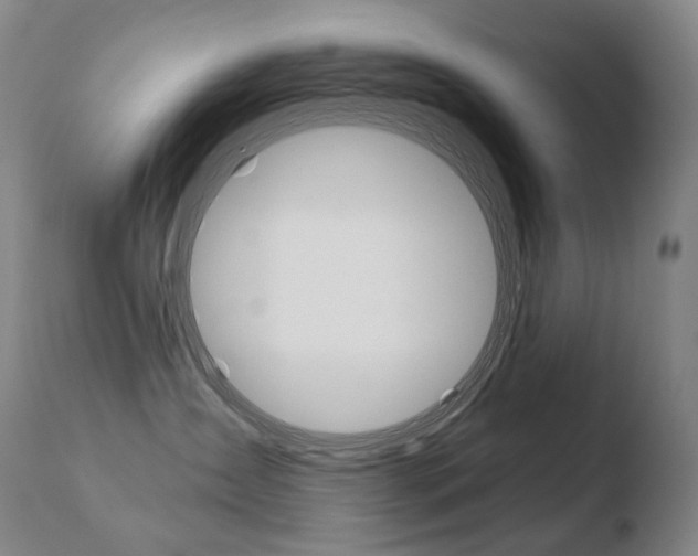 X0000110670431200906121106