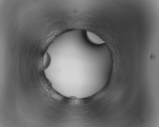X0000110670432200906121106