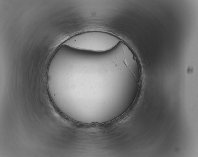 X0000110670433200906121105