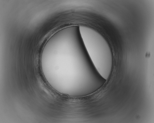 X0000110670435200906121105