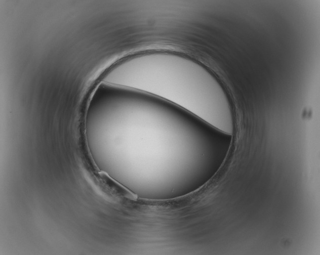 X0000110670436200906121105