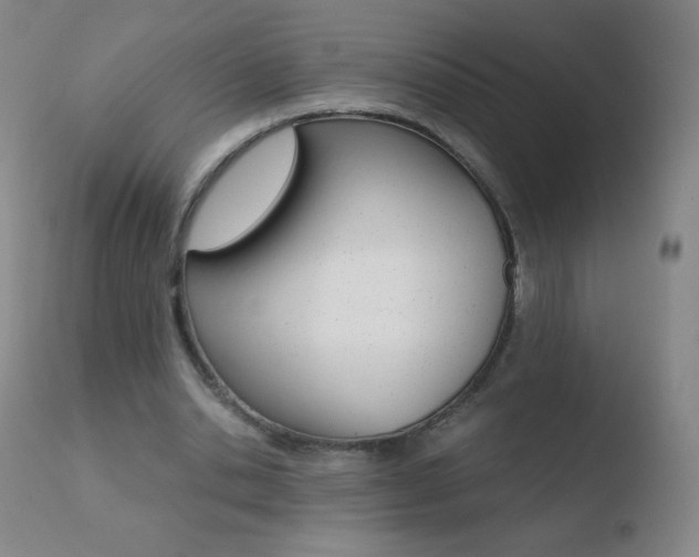 X0000110670438200906121105