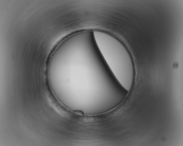 X0000110670439200906121105