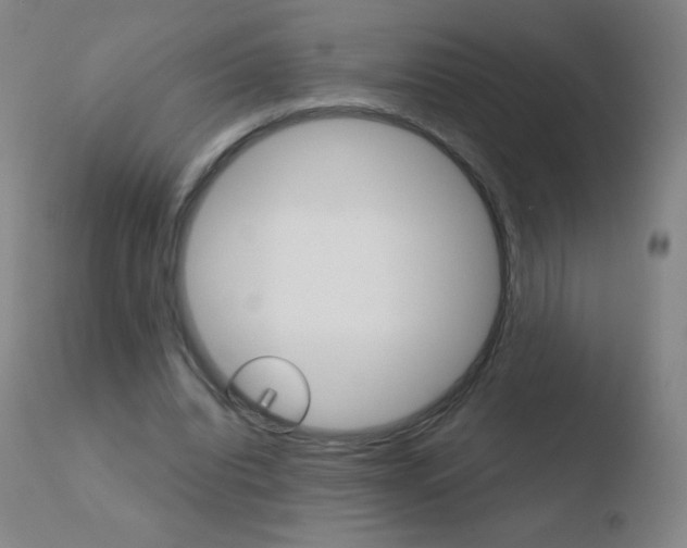 X0000110670440200906121105