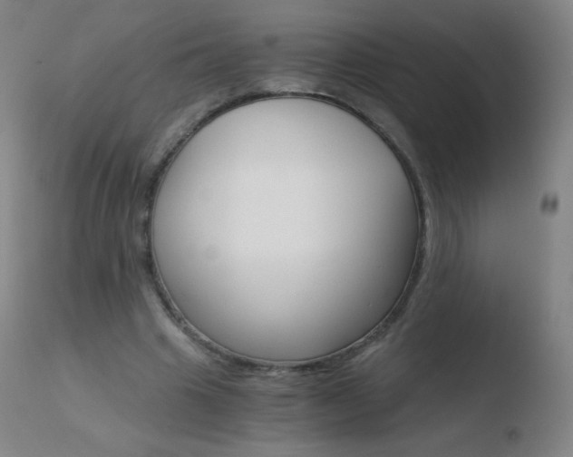X0000110670441200906121105