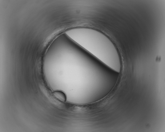 X0000110670442200906121105