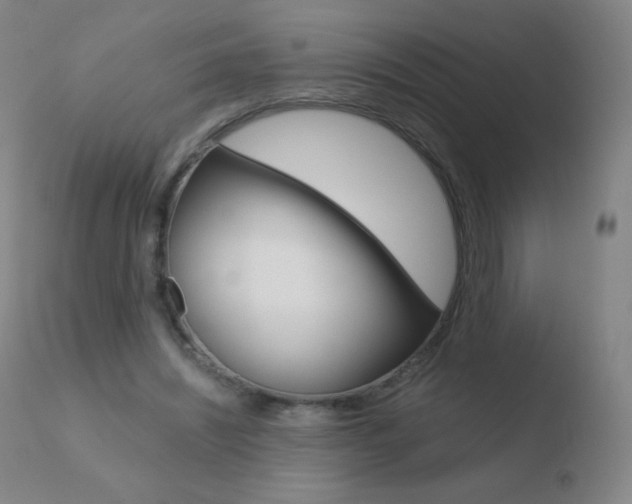 X0000110670444200906121105
