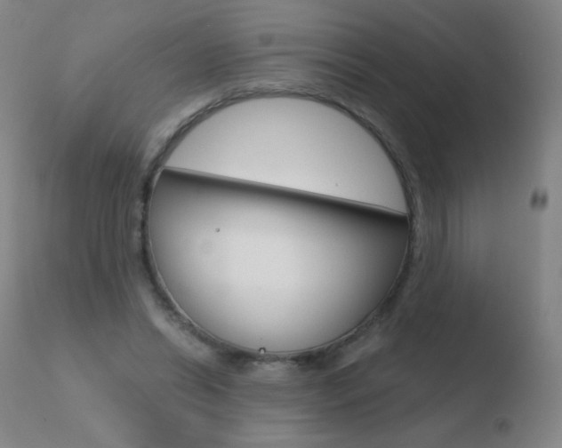 X0000110670446200906121105
