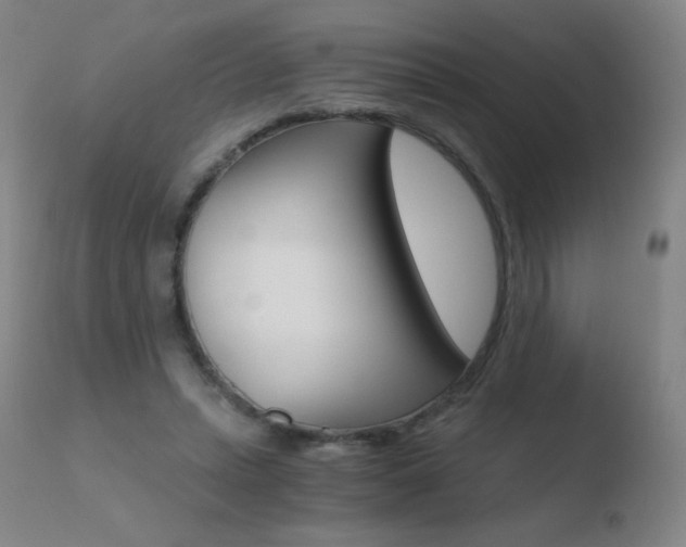 X0000110670447200906121105