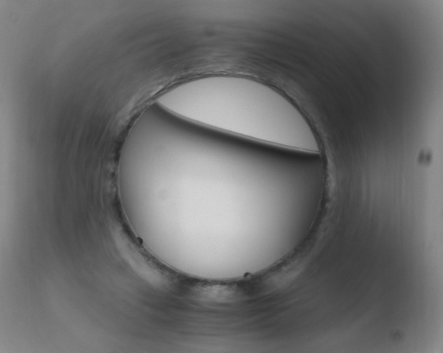 X0000110670449200906121105