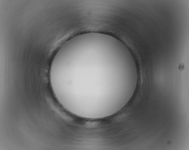 X0000110670450200906121105