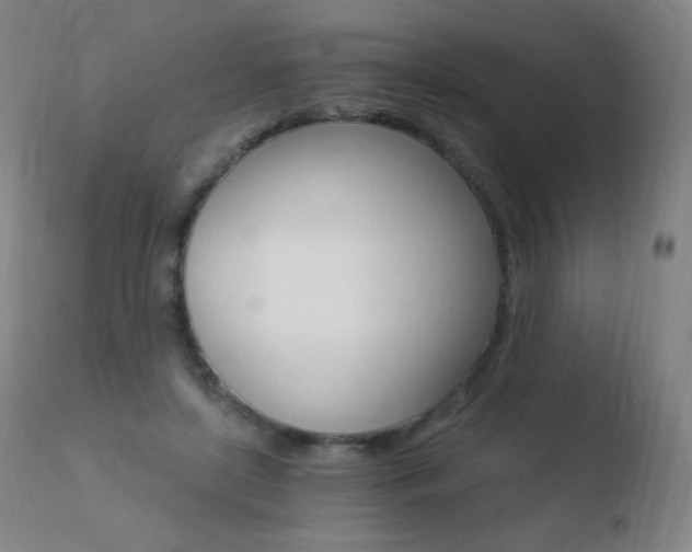 X0000110670451200906121106