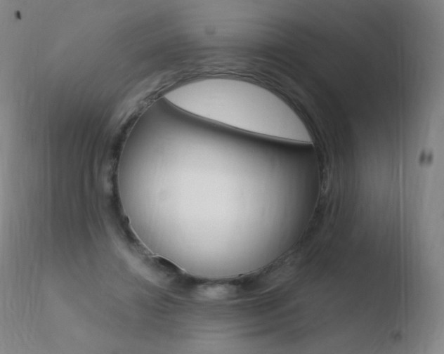 X0000110670452200906121106