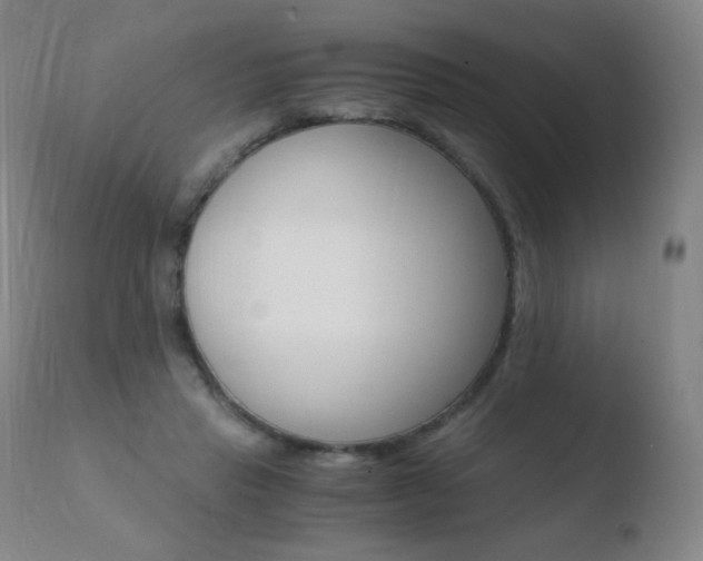 X0000110670453200906121106
