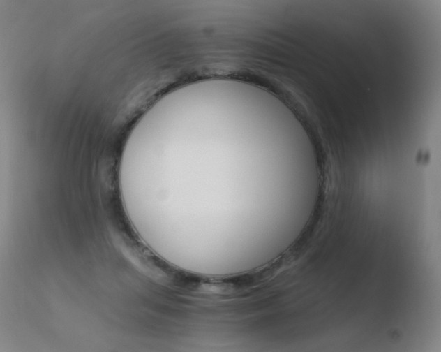 X0000110670455200906121106