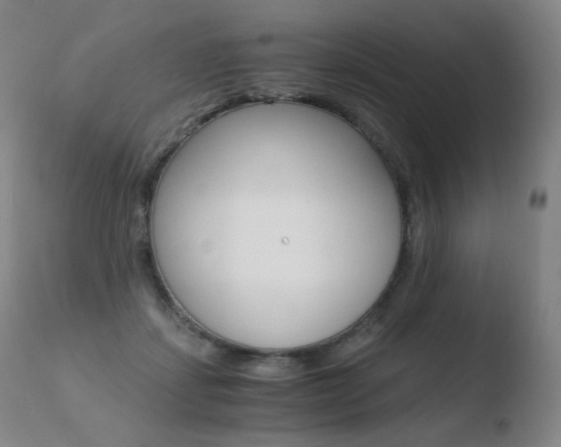 X0000110670459200906121106