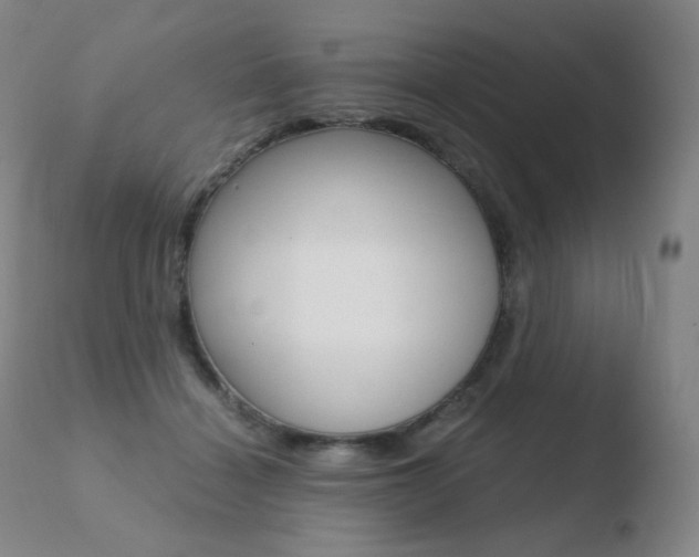 X0000110670460200906121106