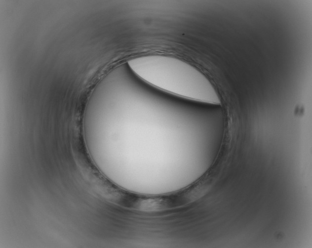 X0000110670461200906121106