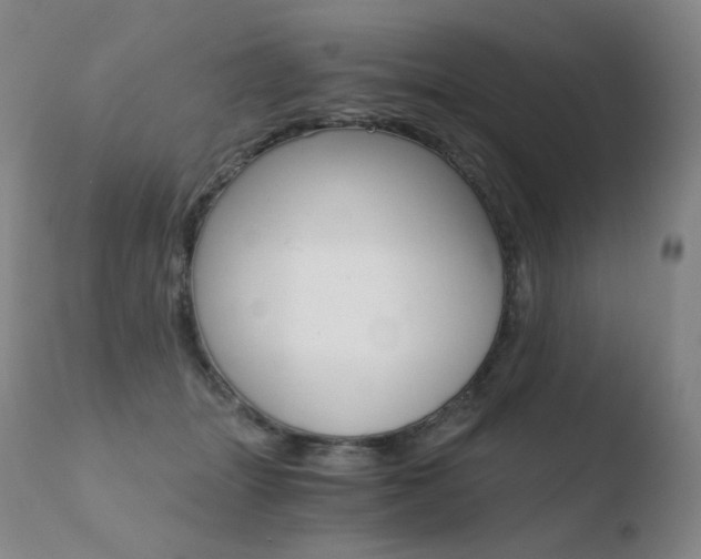 X0000110670463200906121106